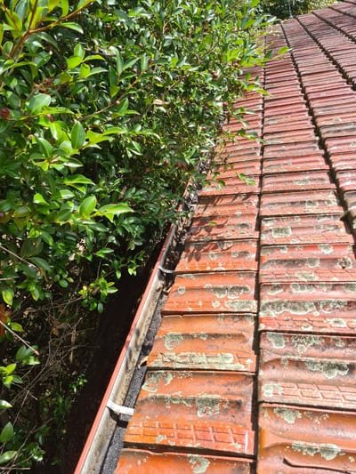 Gloved hands scooping leaves and debris out of a residential metal gutter